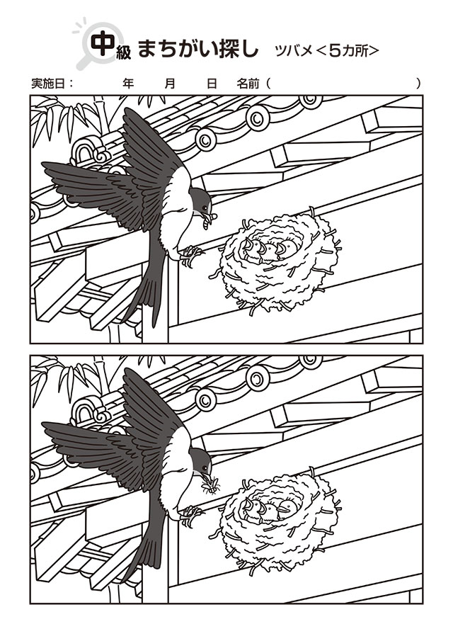 今月の素材集〈まちがい探し〉